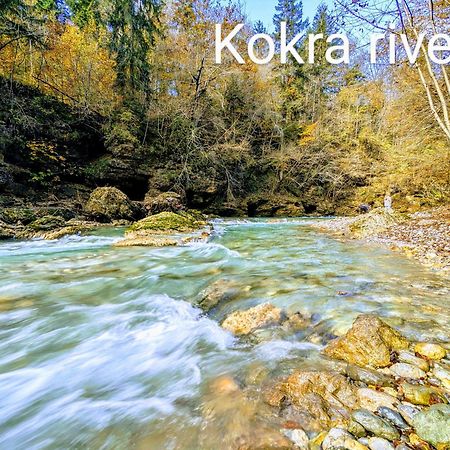 Domen'S Cozy Rentals Kranj Extérieur photo