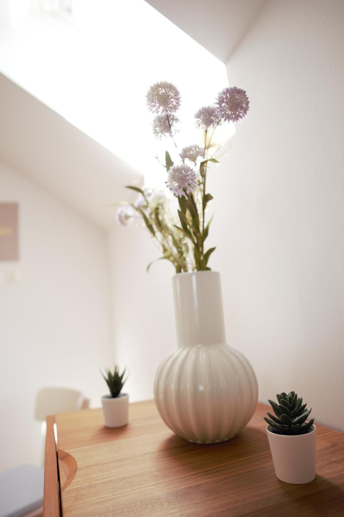 Domen'S Cozy Rentals Kranj Extérieur photo