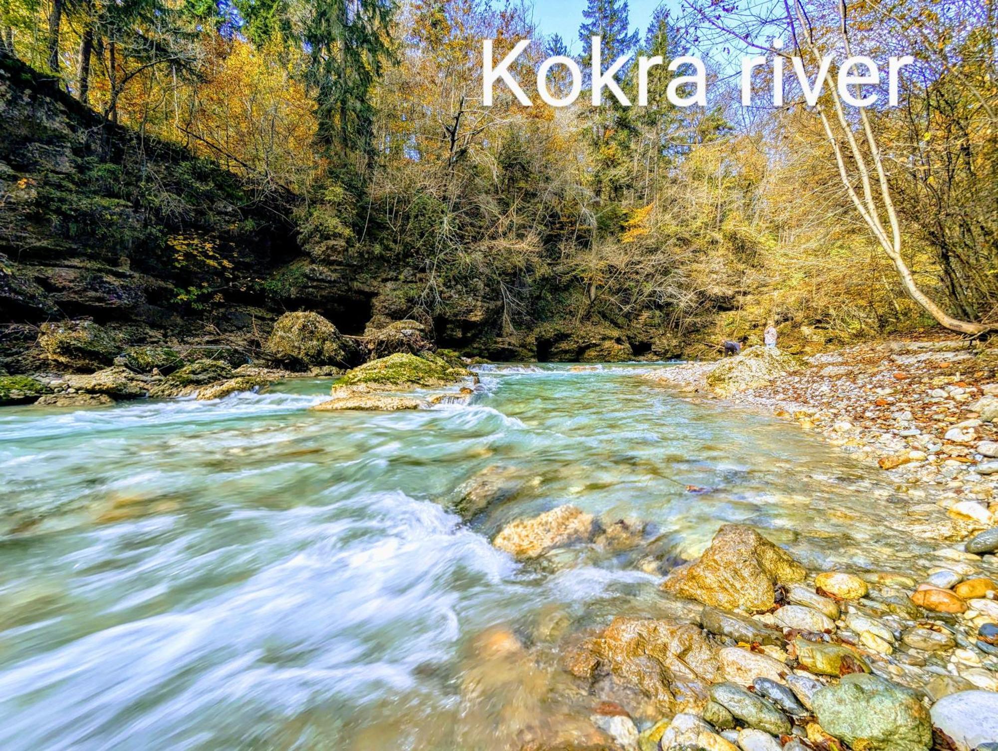 Domen'S Cozy Rentals Kranj Extérieur photo